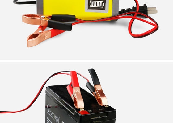 Chargeur de batterie FUTÉ puissant de rendement élevé 12v/24v 5A 10A 20Amp pour la batterie au plomb