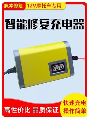 Le CE de chargeur de batterie de Travelscoot de contrôle de microprocesseur a entré C.A. 180-220V 50Hz
