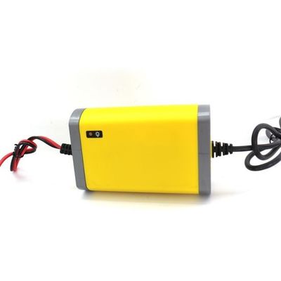 chargeur de batterie intelligent de charge de Smart de chargeurs de batterie au plomb de 12v 24v